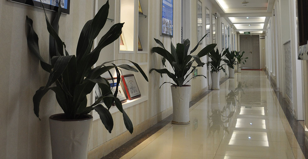 Barley Hair Transplant Clinic Environment