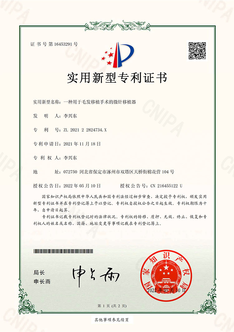 Patent 12